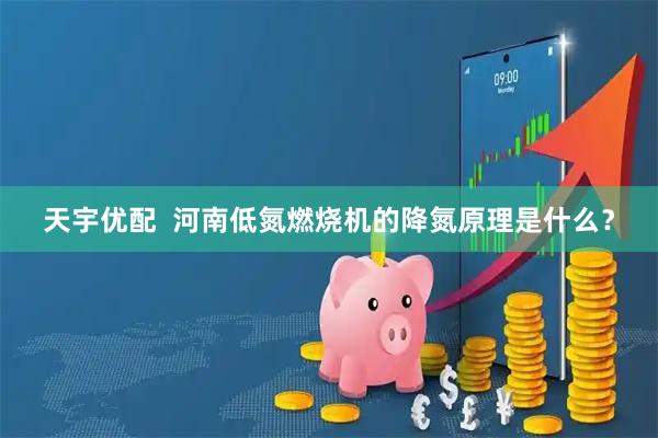 天宇优配  河南低氮燃烧机的降氮原理是什么？