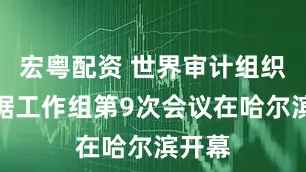 宏粤配资 世界审计组织大数据工作组第9次会议在哈尔滨开幕