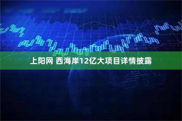 上阳网 西海岸12亿大项目详情披露